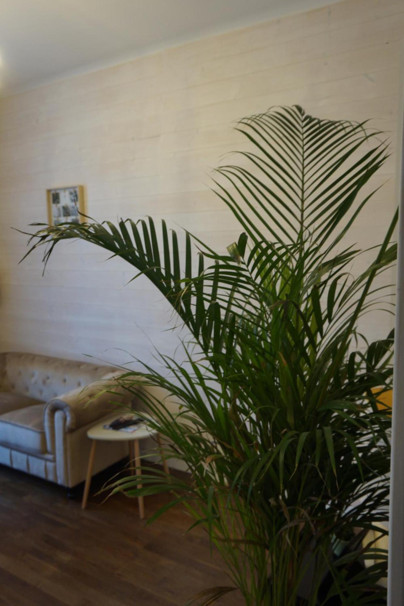 L'Experience Appartement & Spa Prive Chambéry Esterno foto